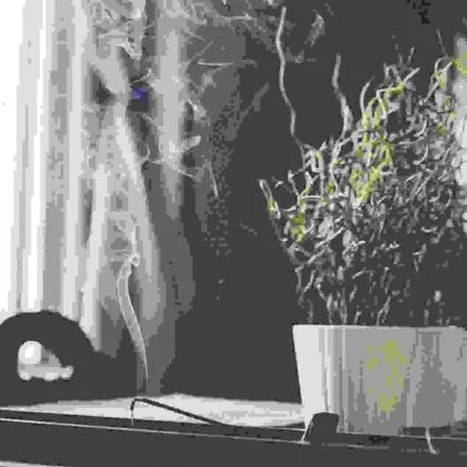 SAMPLE/_grass
